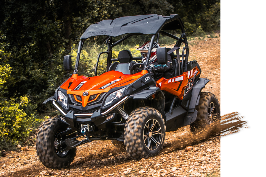 Balade en buggy dans la forêt